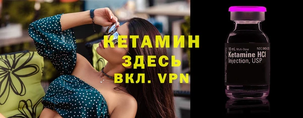 прущие грибы Верея