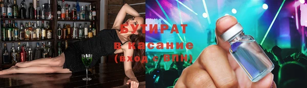 прущие грибы Верея