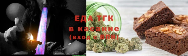 прущие грибы Верея