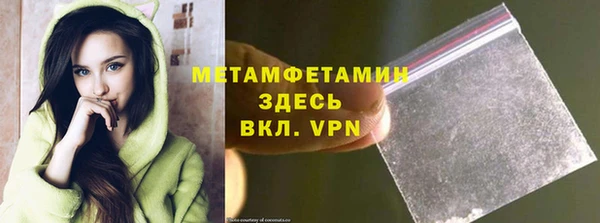 прущие грибы Верея
