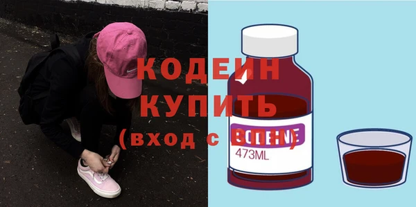 прущие грибы Верея