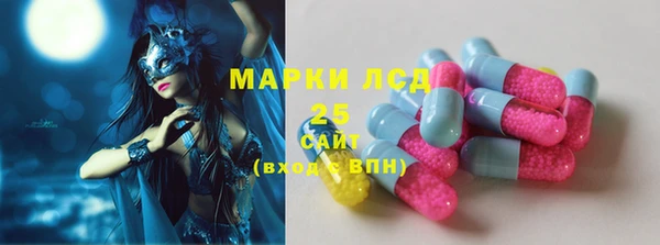 прущие грибы Верея