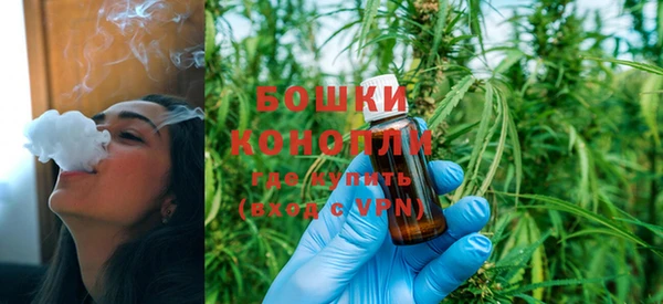 прущие грибы Верея