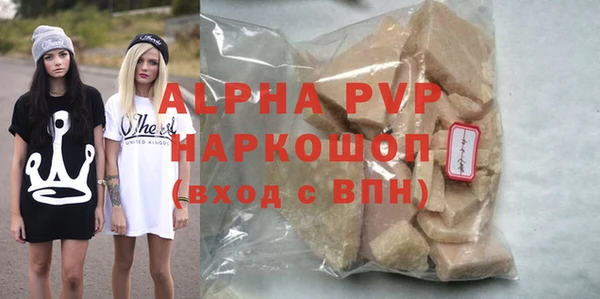 прущие грибы Верея